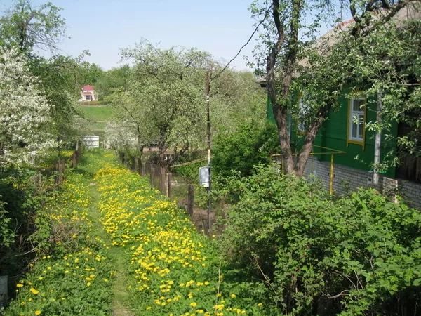 В  Орше на берегу Днепра в уютном уголке продаётся дом 2
